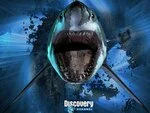 Discovery снимет первые 3D фильмы для британского телевидения